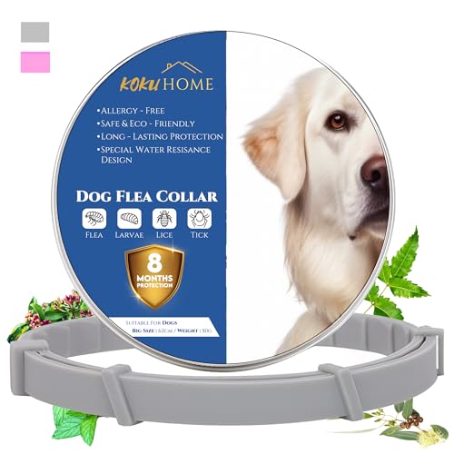 KOKU HOME Collar Antiparasitario contra Pulgas y Garrapatas para ...