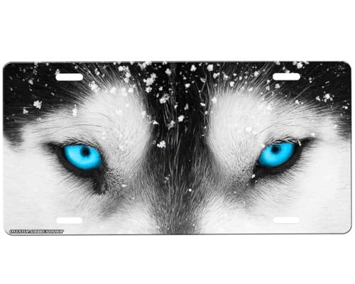 Wolf Eyes Front License Plate with Custom Background Options