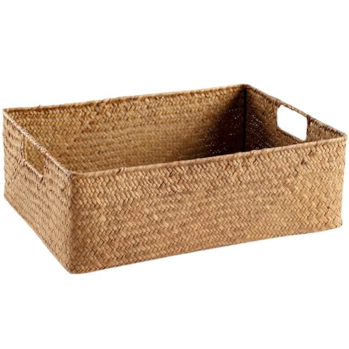 Bivoyud [ ҂ oXPbg ق̂ ` A̓VRXg[҂ At[|bg  {bNX   h ϋv  p^ ^ CeA (傫)