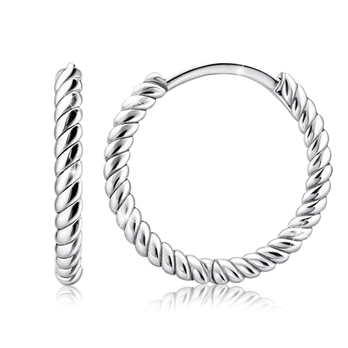 Twisted Hoop Earrings for Women Sterling Silver Hoop Earrings for Women Trendy Hypoallergenic Chunky Loop Earrings for Sensitive Ears Minimalist Fashion Huggie Earring Birthday Gifts for Ladies