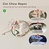 Potaroma Cat Toys Chew Ropes 3Pcs with Refillable Natural Catnip, Safe Teeth Cleaning Toy for Indoor Kittens, Interactive Cat Nip Kitty Toys for All Breeds 19.5 Inches #1