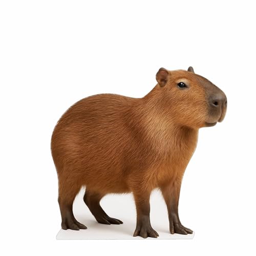 Image of Capybara 2FT Life Size Cardboard Cutout - A Fun Animal Standup for Photo Booths, Birthday Parties, and Events