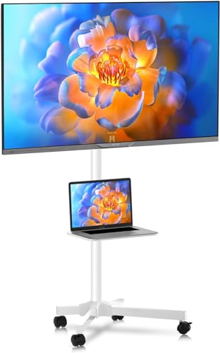 home best mobile tv cart