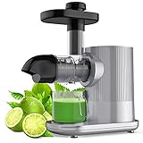 GOPLUS Entsafter, Horizontaler Slow Juicer mit Ruhigem Kupfermotor & Umkehrfunktion, Elektrische Saftpresse mit Saftkanne & Reinigungsbürste, BPA-Frei, Rutschfest, 150W, für Obst Gemüse