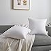 Oubonun 20 x 20 Throw Pillow Inserts (Set of 2) with 100% Cotton Cover - 20 Inch Square Interior Decorative Sofa Pillow Insert Pair - White Couch Pillow