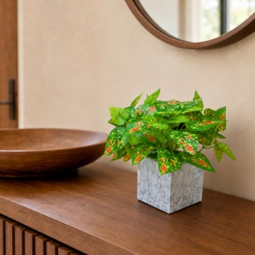 Image of fancymart Artificial Plant with Real-Touch Leaves in Pot, 25 cm, Indoor Tabletop Item for Home Decor, Office, Living Room
