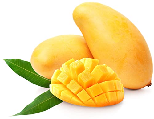 Paradise Green dried Mango 28 ounce sweet dehydrated thai Mangoes sun dried In nature (8 bags X 3.5 ounce) (1 Pack)