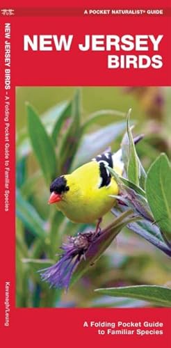 New Jersey Birds: A Folding Pocket Guide to Familiar Species (Wildlife and Nature Identification)