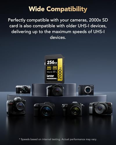 Image of Lexar Professional 2000x SD Card 256GB, SDXC UHS-II Memory Card, Up to 300MB /s Read, for DSLR, Cinema-Quality Video Cameras (LSD2000256G-BNNNG)