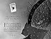 How Winston Delivered Christmas: A Festive Chapter Book with Black and White Illustrations