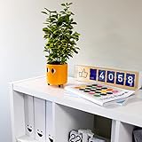 Zoom IMG-2 fisura originale vaso da fiori