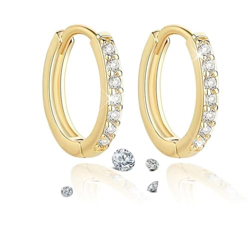 Pendientes de plata 925 de aro, pendientes de plata para mujer 925 hipoalergénicos, pequeños, para dormir, con circonita, cartílago, aro, Huggie Earrings, 12mm