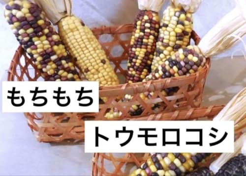 ���`���`�Ƃ����낱��20�� ������ �������� �g�E�����R�V �g�E�L�r