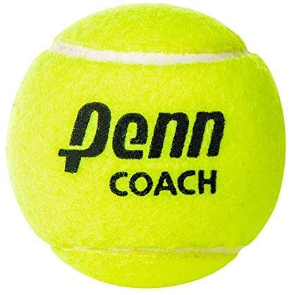DUNLOP ATP Extra Duty Tennis Balls (Can)