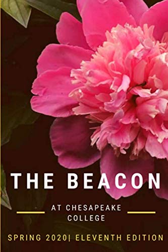 The Beacon 2020: 11th Edition