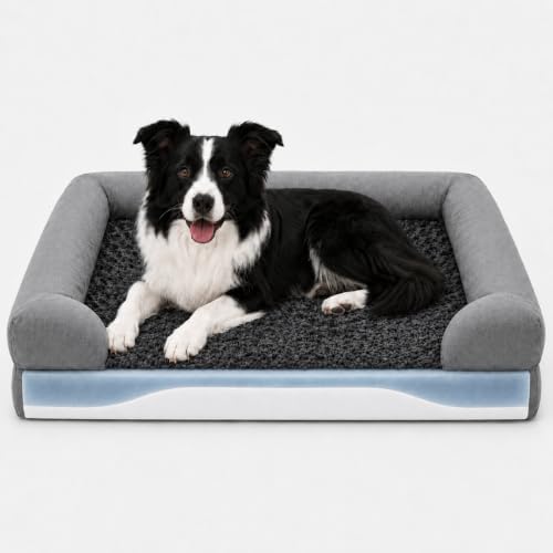 Orthopädisches Hundebett, 90×63×16 cm, Hundebett Mittelgroße Hunde, Hundekorb mit Memory-Schaum & Stützschaum, ergonomischem Rand, rutschfestem Boden, wasserdicht, Bezug abnehmbar