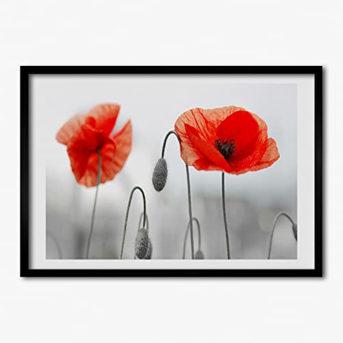 Tableau photo de prestige avec cadre en bois moderne Tulup 70x50 cm fini