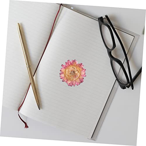 Set de flores prensadas secas para manualidades miniatura 5