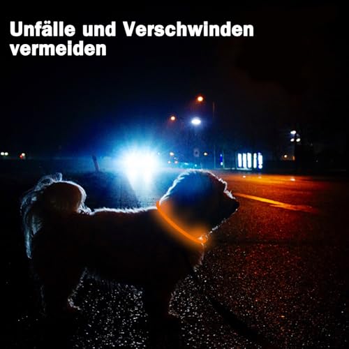 Nepfaivy Leuchthalsband Hund USB Aufladbar - Wasserdichtes Hundehalsband Leuchtend mit 3 Beleuchtungsmodi, Längenverstellbareres LED Halsband für Kleine, Mittlere und Große Hunde (Orange)