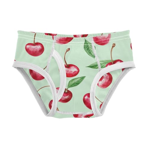 Wusikd Watercolor Cherries Boys' Underwear Cotton Boys Briefs Soft Toddler Underwear 2T