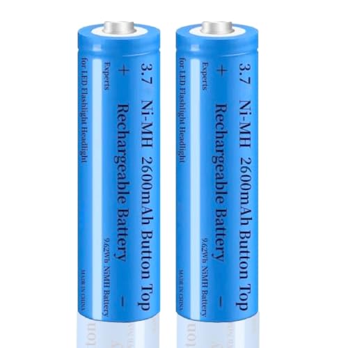 Renyqatt 2 Pack Batteries 2600mAh Button Top Rechargeable Battery Ni-MH AA 2600mah Rechargeable Batteries for LED Flashlight Headlamps Doorbells RC Cars