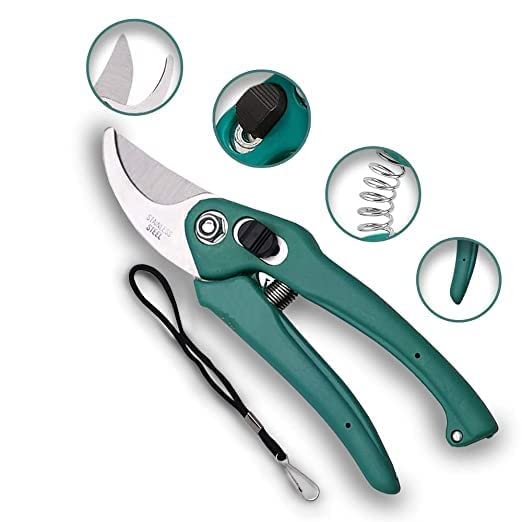Image of Dinojames Tool Easily Punches Gardening Tool Set Stainless Steel Garden Pruner /Scissors, Pruning Seeds, Flower Cutter and Grass Cutter, 18cm (Multicolour)