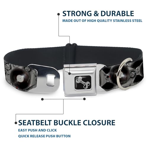 Collier de chien Buckle Down platines grand format aux finitions soignées - 5