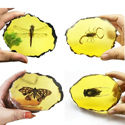 Image of Amber Fossils Insect Samples Artificial Amber Insect Specimen Pendant Stone Decoration Crystal Samples Collection Science Education Dragonflies, Cicadas, Scorpions, Butterflies (4 Combinations)