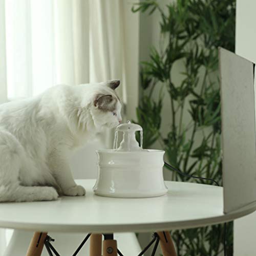 Balacoo Distribuidor de Água para Gatos Moda Criativa Adorável e Fofo Fonte de Água Cogumelos Fonte