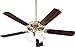 Quorum 7525-080 Capri IX 52" Ceiling Fan with Light, Aged Brass w/Satin Opal