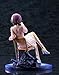 Kotobukiya Nisemonogatari Hitagi Senjogahara ANI-Statue