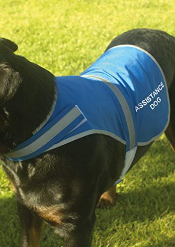 Spoilt Rotten Pets Medium Size Blue 'Assistance Dog' High Visibility Lightweight Coat Hi Viz Vest For Dogs (Medium, Blue) - Image 4