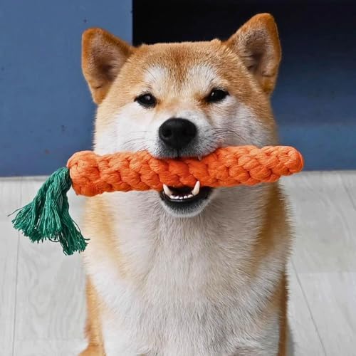 SSHUIKKAI 2 Stück Hundespielzeug Ostern, Kauspielzeug Welpe, Ostergeschenk Für Hunde, Hundespielzeug Welpe, für Kleine Mittelgroße Welpen(Orange Farbe)