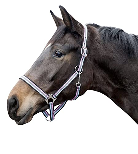 Cabestro Linz de HKM resistente para tu caballo 2