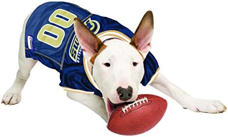 rams dog sweater