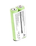 Replacement Battery for Waterpik 900 Sonic Toothbrush (700mAh Ni-MH 2.4V)