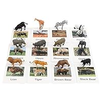 MagiDeal 12 Pieces Animal Figurines Toys Mini Animal Figures with Flash Cards Matching Game Homeschool Preschool for Kindergarten Gift Kids Baby, sea animals