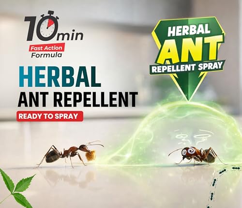 Image of Amish Ant Repellent Spray 250ml Pack of 2 for Home & Kitchen | Herbal Organic Indoor Outdoor | Pet Safe, Safe for Dogs | Eco Friendly Remover for Home, Plants | 10 Minutes Formula| Repellent Spray