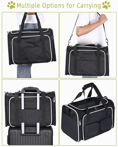 Katzen Transportboxen Faltbar, Katzentransportbox mit Abnehmbarem Plüschkissen, Katzentransporttasche L 45 * 31 * 6 cm,Haustiertragetasche mit Haustiermatte Hundetragetasche