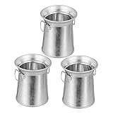 Décoration de bureau - vases à fleurs en fer de forme rétro, look vintage créatif, décoration de jardin