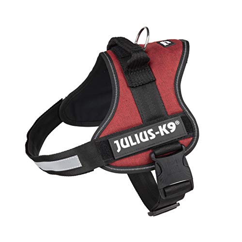 Find The Best Dog Harness UK For Your Pup! Review 2022 Ultimate