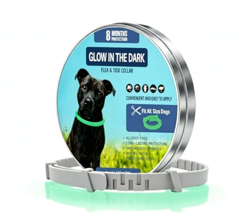 Collar Antiparasitario Perros Ajustable, Collares Antiparasitarios para Perros Pequeños y Grandes, Collar Antigarrapatas Perros Impermeable para 12 Meses,Antipulgas para Perros(63 cm)