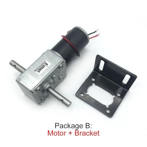 Moteur à engrenages CC 12V Bringsmart double arbre pour axe réversible