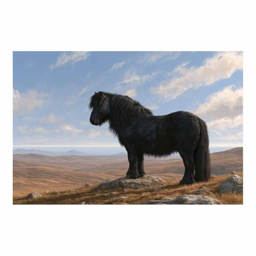 Tableau animaux poney noir des Highlands pour sublimer votre salon moderne
