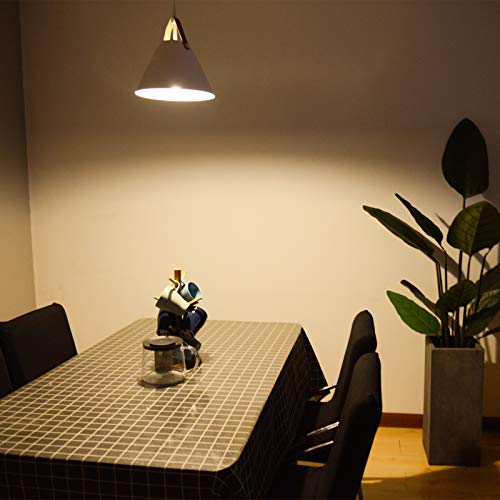 Dysmio 23-Watt (100-Watt Equivalent) T2 Bi Pin Gu24 Base 2700 Kelvin Warm White 1600 Lumens Mini-Twist Compact Fluorescent Light Bulb #TOP5