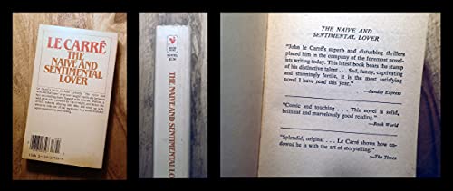 The naive and sentimental lover 055313955X Book Cover
