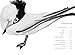 The Book of Vanishing Species: Illustrated Lives