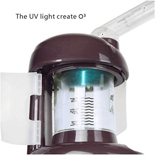 Hair Steamer Kingsteam 2 in 1 Ozone Facial Steamer, Design for Personal Care Use At Home or Salon