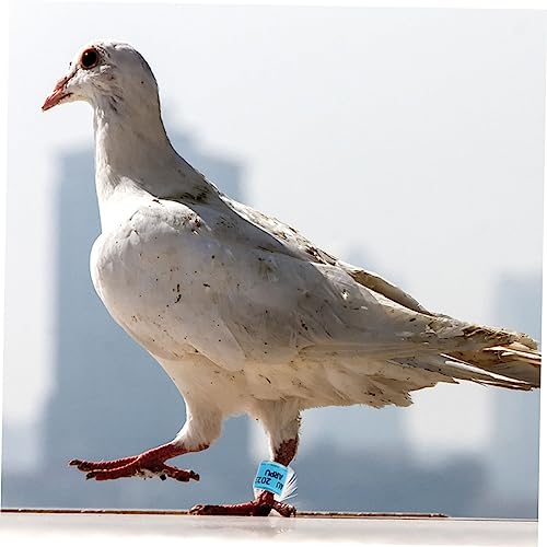 CORHAD 100 Pçs Tornozeleira De Pombo Identificar Anéis Anel De Pé De Pombo Bandas De Pé De Pombo Num