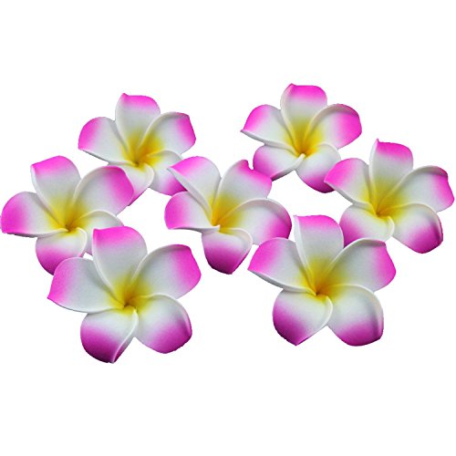 Ewanda Store 100 Pcs Diameter 1.6 Inch Artificial Plumeria Rubra Hawaiian Foam Frangipani Flower Petals For Weddings Party Decoration(Hot Pink) #TOP12